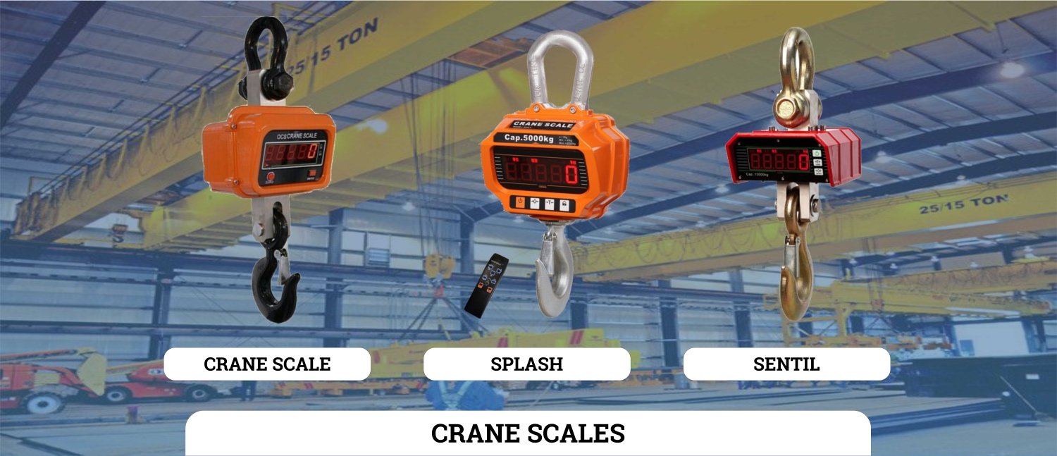 Crane Scales